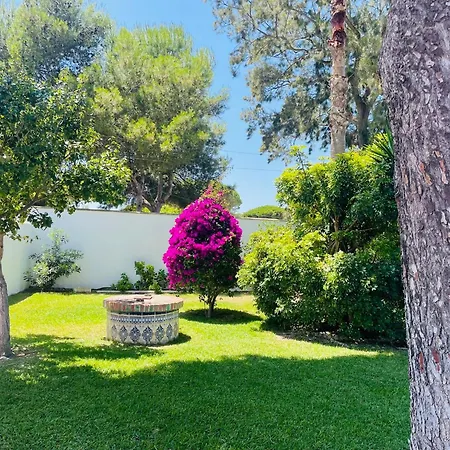 Apartment Entre Pinos *